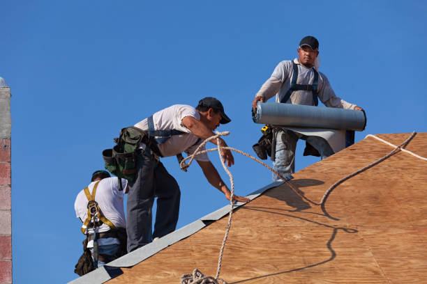 Best Storm Damage Roof Repair  in Laingsburg, MI