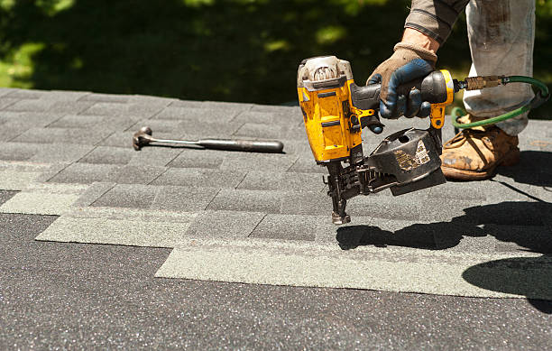 Best Affordable Roof Replacement  in Laingsburg, MI
